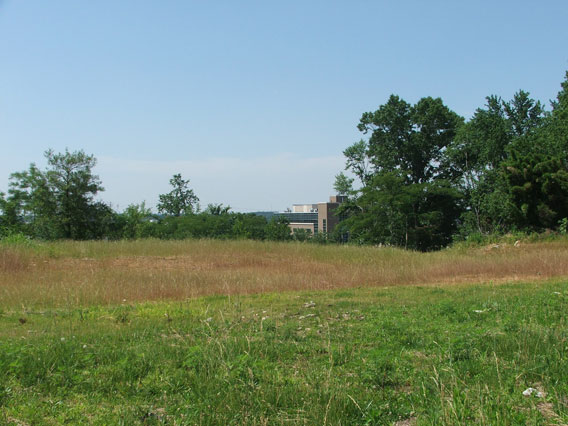 Saint-Thomas-Medical-Center-Site